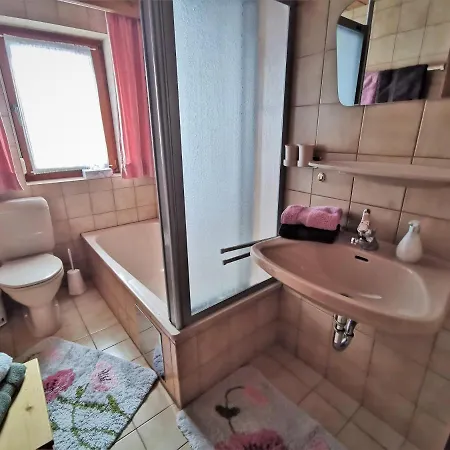 בית הארחה Haus Steinkarblick Und Berghaeusl 3*