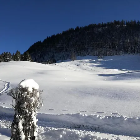 Gasthuis Haus Steinkarblick Und Berghaeusl Berwang