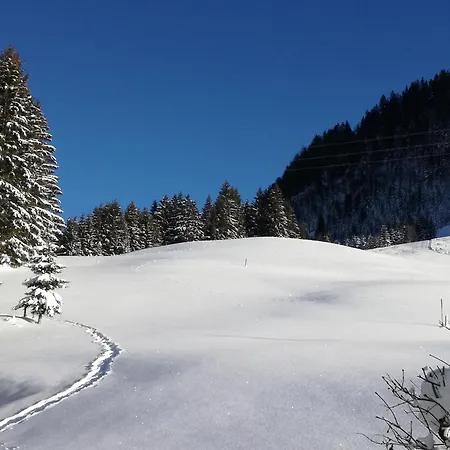 Haus Steinkarblick Und Berghaeusl
